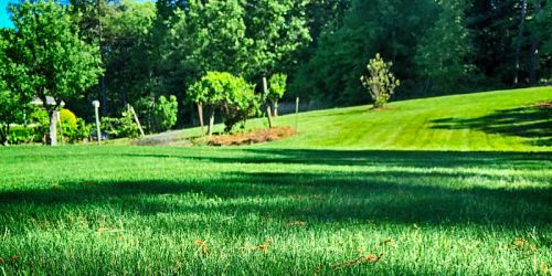 Extreme Lawns