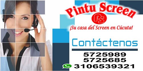 PINTU SCREEN