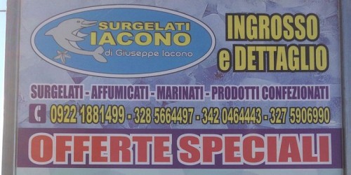 IL DELFINO
