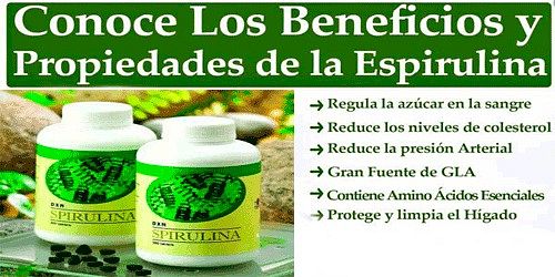 Ganoderma Dxn Bucaramanga
