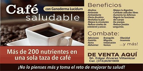 Ganoderma Dxn Bucaramanga
