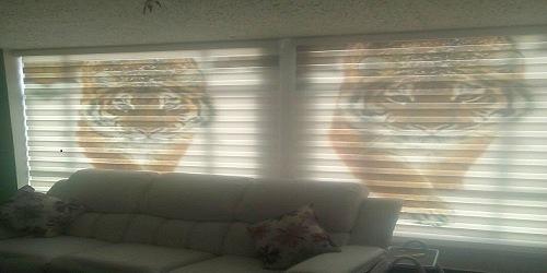 CASA VIVA DECORACIONES S.A.S.