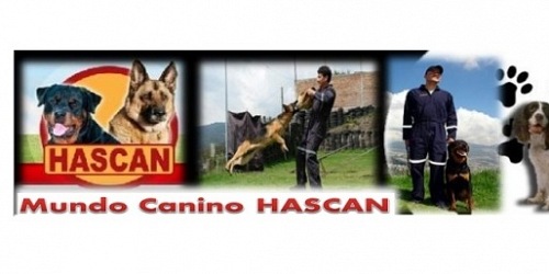 MUNDO CANINO HASCAN
