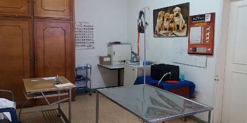 U.C.V. MUNDO ANIMAL DR. Jhon Montenegro y  Dario Rodriguez