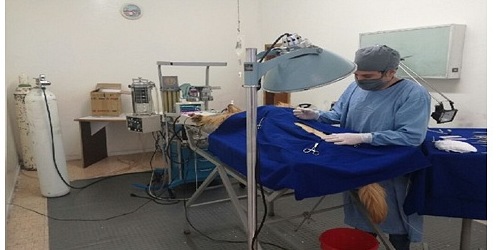 U.C.V. MUNDO ANIMAL DR. Jhon Montenegro y  Dario Rodriguez