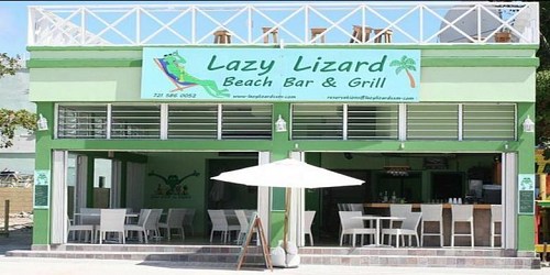 Lazy Lizard N.V