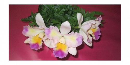 BODEGA DE FLORES Y ACCESORIOS ´´ARAIZA´´