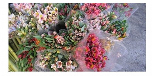 BODEGA DE FLORES Y ACCESORIOS ´´ARAIZA´´