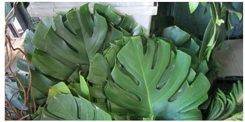 BODEGA DE FLORES Y ACCESORIOS ´´ARAIZA´´