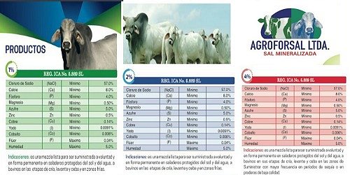 AGROFORSAL