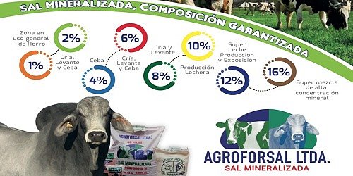 AGROFORSAL