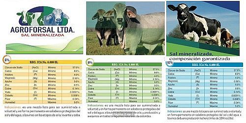 AGROFORSAL