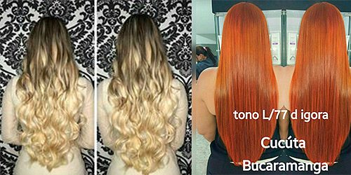 Extensiones Humanas Castillo