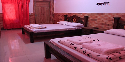 HOTEL CAMPESTRE VILLA HERCULES