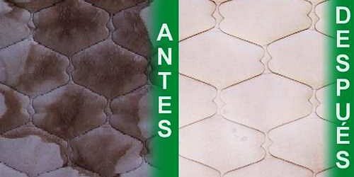 HYGIENITECH LIMPIEZA DE COLCHONES Y MUEBLES