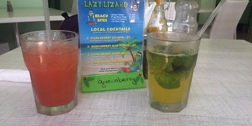 Lazy Lizard N.V