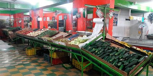 Mercado Campesino Ciudadela