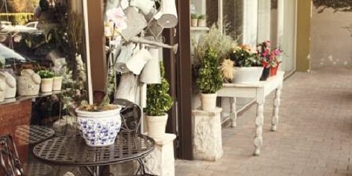 The Flower Bucket