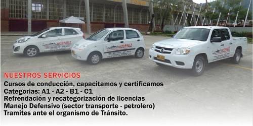 ACADEMIA DE CONDUCCION AUTORALLY