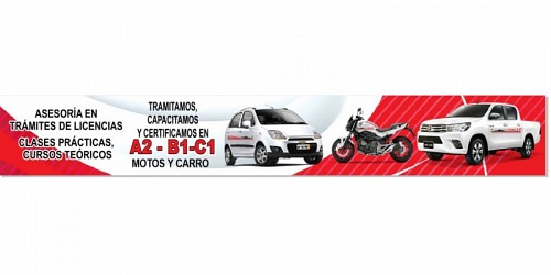 ACADEMIA DE CONDUCCION AUTORALLY