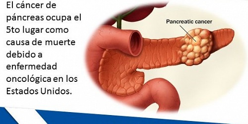 DR. DE LA FUENTE MÉDICO CIRUJANO - CIRUGÍA BARIATRICA