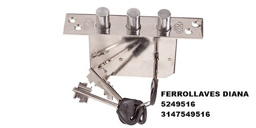 FERROLLAVES DIANA J.J.D.  TEL 314 7549516