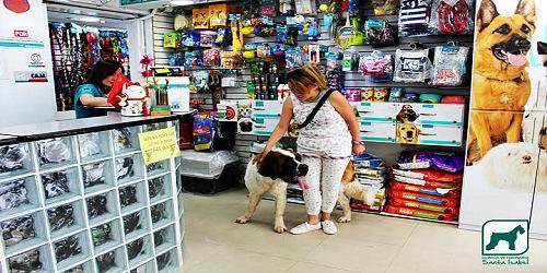 Asociación Veterinaria Santa Isabel