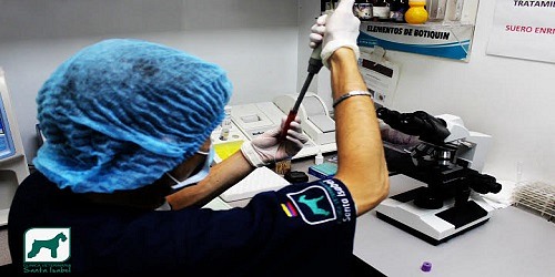 Asociación Veterinaria Santa Isabel