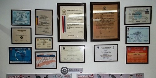 Clinica Veterinaria IMBAVET