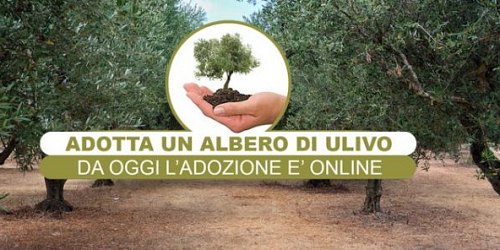 OLEIFICIO SAN CALOGERO SCIACCA