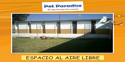 PET PARADISE HOTEL DE MASCOTAS