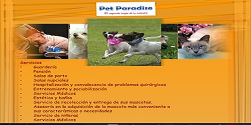 PET PARADISE HOTEL DE MASCOTAS