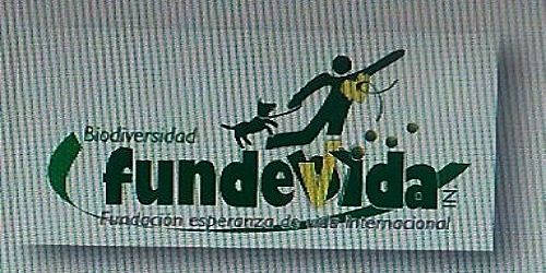 FUNDEVIDAIN