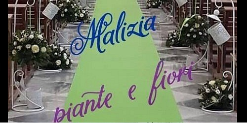 MALIZIA