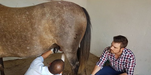 Pretoria East Veterinary Clinic