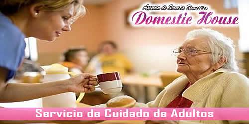 DOMESTIC HOUSE AGENCIA DE SERVICIO DOMESTICO