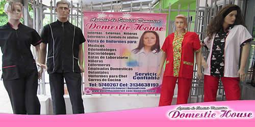 DOMESTIC HOUSE AGENCIA DE SERVICIO DOMESTICO