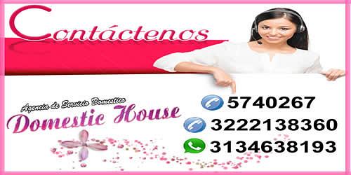 DOMESTIC HOUSE AGENCIA DE SERVICIO DOMESTICO