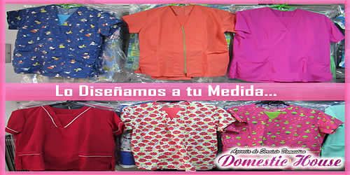 DOMESTIC HOUSE AGENCIA DE SERVICIO DOMESTICO