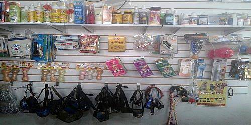 Perros & gatos cucuta clinica veterinaria