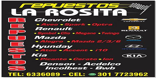 REPUESTOS LA ROSITA