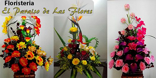 Floristeria el Paraiso de las Flores