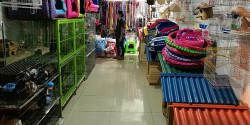 AQUATICA Tienda de Mascotas