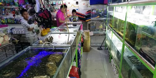 AQUATICA Tienda de Mascotas