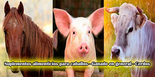 MOLINO Y DEPOSITO SAN RAFAEL - Sales Mineralizadas