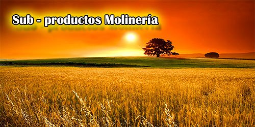 MOLINO Y DEPOSITO SAN RAFAEL - Sales Mineralizadas