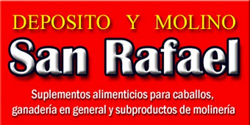 MOLINO Y DEPOSITO SAN RAFAEL - Sales Mineralizadas