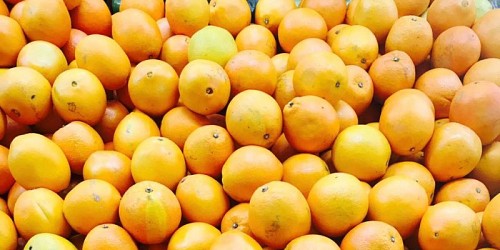 NJ Fresh Produce and Butchery