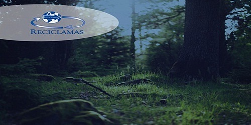 Reciclamas Gestores Ambientales