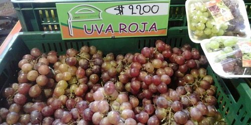 LONCHERITA, carnes, frutas y verduras